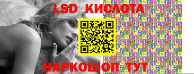 шишки Обь