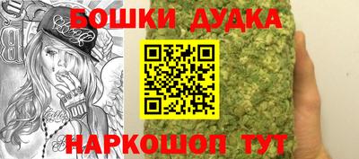 шишки Обь