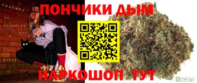 шишки Обь