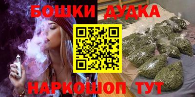 шишки Обь