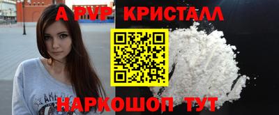 шишки Обь