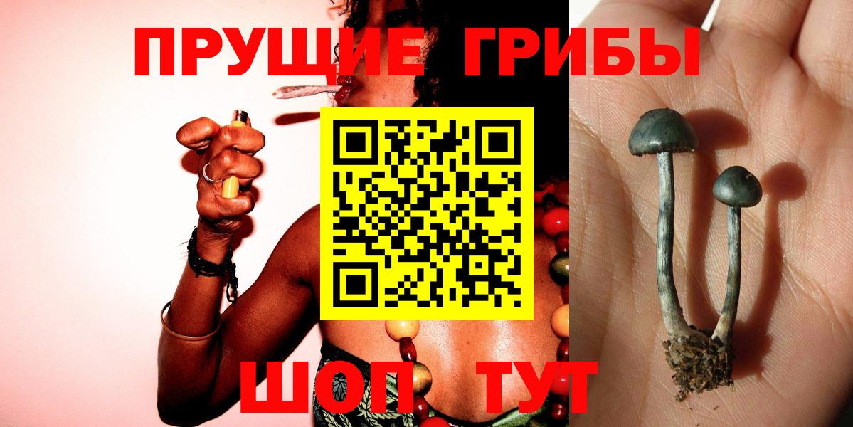 Сафоново  Псилоцибиновые грибы мицелий  Вход с VPN 